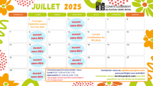 Calendrier du mois de juillet 2025